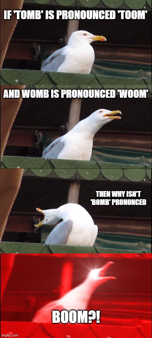 Deep thoughts with the Deep | IF 'TOMB' IS PRONOUNCED 'TOOM'; AND WOMB IS PRONOUNCED 'WOOM'; THEN WHY ISN'T 'BOMB' PRONONCED; BOOM?! | image tagged in memes,inhaling seagull | made w/ Imgflip meme maker