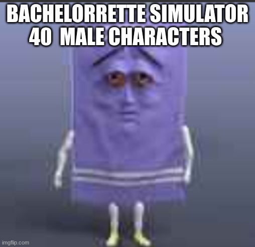t h e  towel | BACHELORRETTE SIMULATOR 40  MALE CHARACTERS | image tagged in t h e towel | made w/ Imgflip meme maker