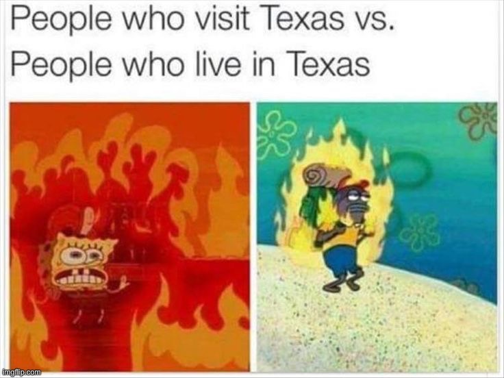image tagged in memes,funny,repost | made w/ Imgflip meme maker