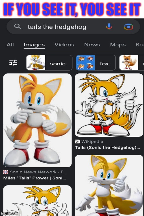 amazing titel | IF YOU SEE IT, YOU SEE IT | image tagged in sonic the hedgehog,sonic,tails,tails the fox,tails the hedgehog,sonic meme | made w/ Imgflip meme maker