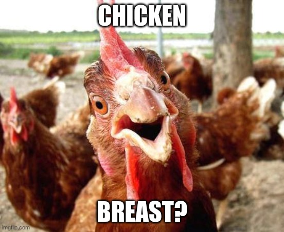 Chicken | CHICKEN BREAST? | image tagged in chicken | made w/ Imgflip meme maker