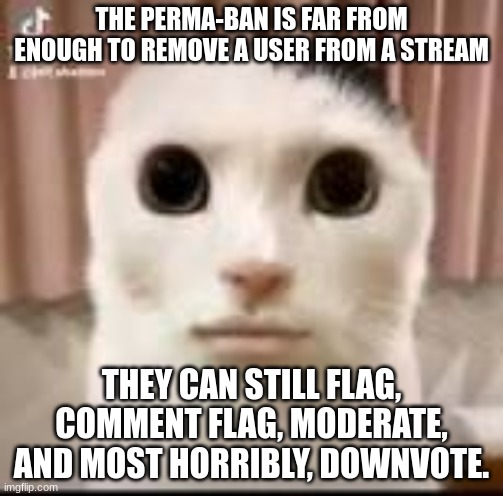 PLEASE add a feature to ban people from voting or flagging on a stream | THE PERMA-BAN IS FAR FROM ENOUGH TO REMOVE A USER FROM A STREAM; THEY CAN STILL FLAG, COMMENT FLAG, MODERATE, AND MOST HORRIBLY, DOWNVOTE. | image tagged in world cuuuuuuuuuuuuuuuuuuuu | made w/ Imgflip meme maker