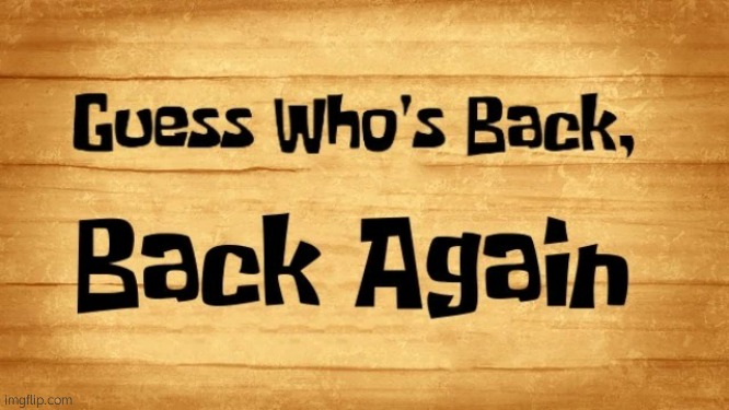 I'm back from my vacation | image tagged in guess who's back back again | made w/ Imgflip meme maker