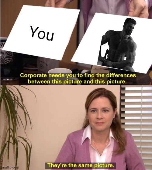 They're the same picture. | You | image tagged in memes,they're the same picture,gigachad,giga chad,wholesome | made w/ Imgflip meme maker
