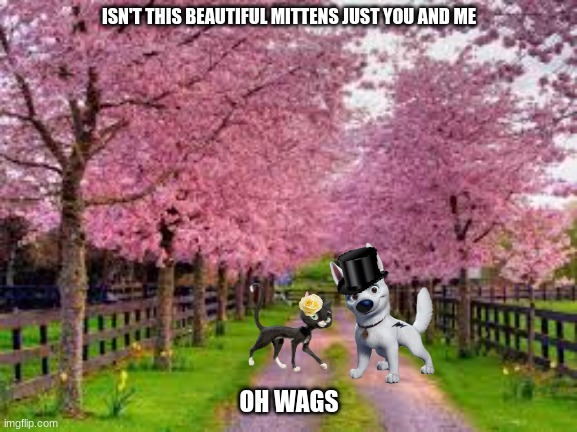 bolttens springtime | ISN'T THIS BEAUTIFUL MITTENS JUST YOU AND ME; OH WAGS | image tagged in spring,disney,dogs,cats,romance | made w/ Imgflip meme maker