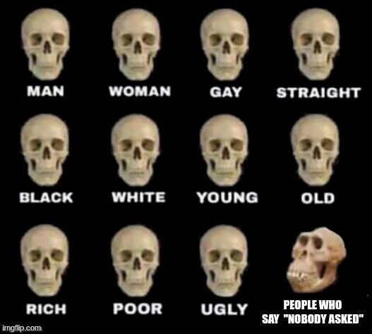 skull meme | PEOPLE WHO SAY  "NOBODY ASKED" | image tagged in idiot skull | made w/ Imgflip meme maker