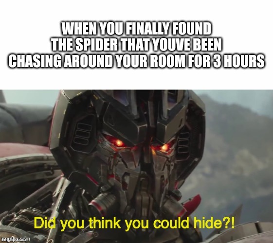 Blitzing spider problem | WHEN YOU FINALLY FOUND THE SPIDER THAT YOUVE BEEN CHASING AROUND YOUR ROOM FOR 3 HOURS | image tagged in did you think you could hide | made w/ Imgflip meme maker