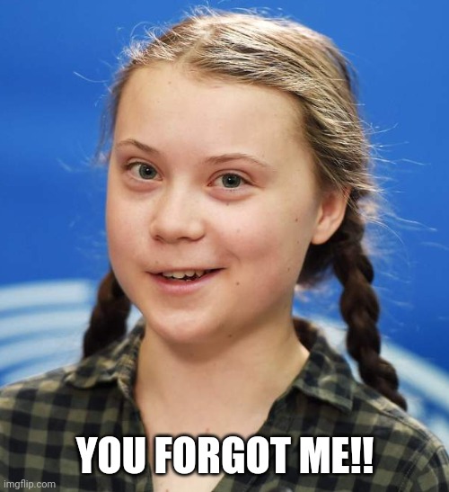 Greta Thunberg | YOU FORGOT ME!! | image tagged in greta thunberg | made w/ Imgflip meme maker