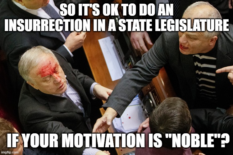 Fist fight in Ukrainian Parliament | SO IT'S OK TO DO AN INSURRECTION IN A STATE LEGISLATURE; IF YOUR MOTIVATION IS "NOBLE"? | image tagged in fist fight in ukrainian parliament | made w/ Imgflip meme maker