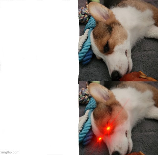 i sleep real s but bowie Blank Meme Template