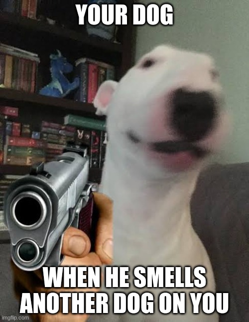 Walter holding gun | YOUR DOG; WHEN HE SMELLS ANOTHER DOG ON YOU | image tagged in walter holding gun | made w/ Imgflip meme maker