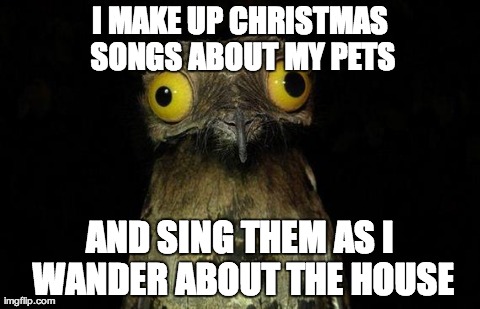 Weird Stuff I Do Potoo | I MAKE UP CHRISTMAS SONGS ABOUT MY PETS AND SING THEM AS I WANDER ABOUT THE HOUSE | image tagged in memes,weird stuff i do potoo | made w/ Imgflip meme maker