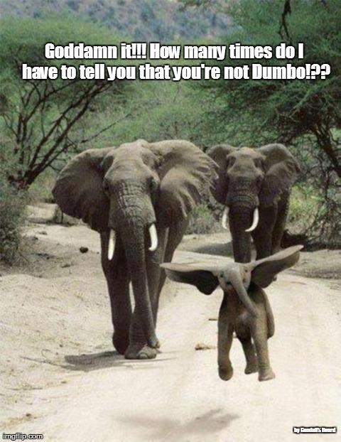 Goddamn it!!! How many times do I have to tell you that you're not Dumbo!?? by Gandalf's Beard | image tagged in funny,elephants,animals | made w/ Imgflip meme maker