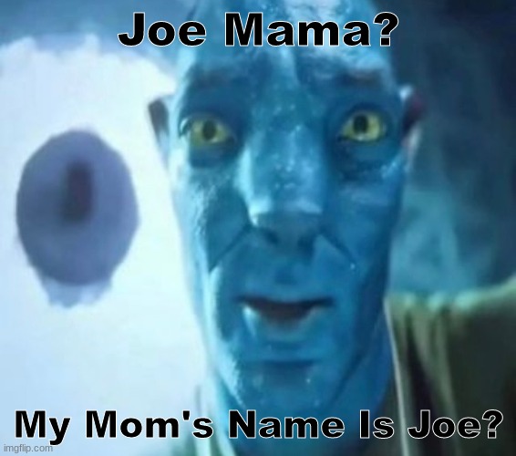 I did not know | Joe Mama? My Mom's Name Is Joe? | image tagged in avatar guy | made w/ Imgflip meme maker
