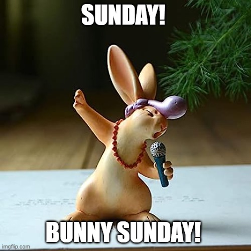 BunnySunday | SUNDAY! BUNNY SUNDAY! | image tagged in easter | made w/ Imgflip meme maker