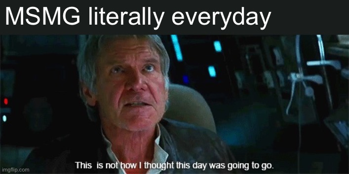 This is not how i thought this day was going to go | MSMG literally everyday | image tagged in this is not how i thought this day was going to go | made w/ Imgflip meme maker