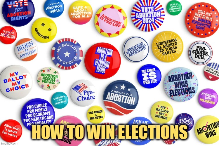 Republicans got this one wrong, and doubling down makes it worse. | HOW TO WIN ELECTIONS | image tagged in abortion,winner,republicans,losers | made w/ Imgflip meme maker