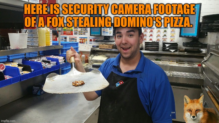 Exclusive fox footage | HERE IS SECURITY CAMERA FOOTAGE OF A FOX STEALING DOMINO'S PIZZA. | image tagged in dominoes new low calorie pizza,foxes,love,dominos,pizza | made w/ Imgflip meme maker