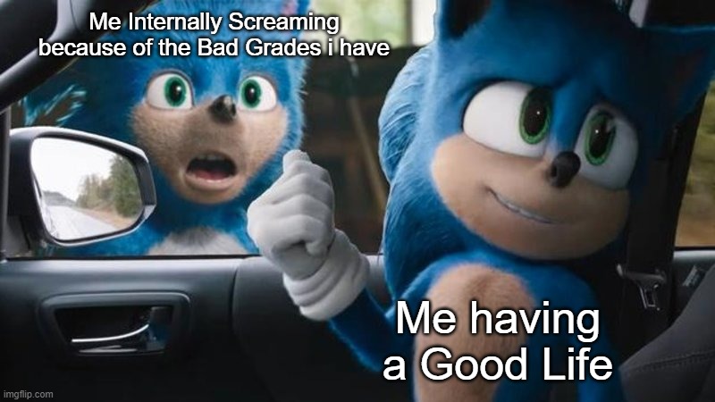 This is fine. | Me Internally Screaming because of the Bad Grades i have; Me having a Good Life | image tagged in sonic movie old vs new,memes,funny,relatable memes,life,so true memes | made w/ Imgflip meme maker