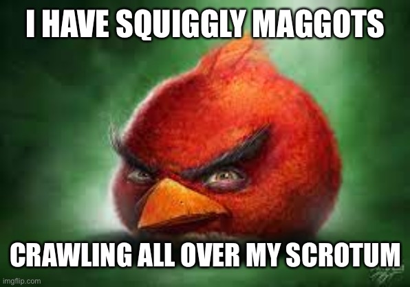 Realistic Red Angry Birds | I HAVE SQUIGGLY MAGGOTS; CRAWLING ALL OVER MY SCROTUM | image tagged in realistic red angry birds | made w/ Imgflip meme maker