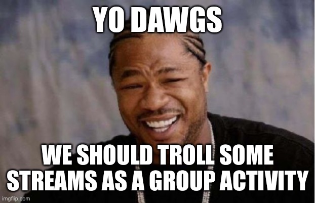 Just an idea to build the group | YO DAWGS; WE SHOULD TROLL SOME STREAMS AS A GROUP ACTIVITY | image tagged in memes,yo dawg heard you | made w/ Imgflip meme maker