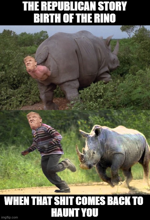 Republican Rino Story | THE REPUBLICAN STORY
BIRTH OF THE RINO; WHEN THAT SHIT COMES BACK TO 
HAUNT YOU | image tagged in ace ventura rhino,rino,republicans,donald trump is an idiot,anti trump,maga | made w/ Imgflip meme maker
