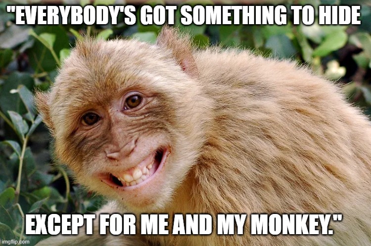 except for me and my monkey | "EVERYBODY'S GOT SOMETHING TO HIDE; EXCEPT FOR ME AND MY MONKEY." | image tagged in my monkey | made w/ Imgflip meme maker