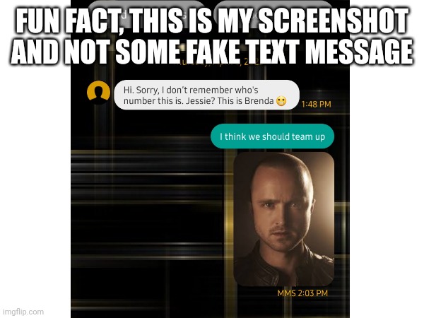 FUN FACT, THIS IS MY SCREENSHOT AND NOT SOME FAKE TEXT MESSAGE | image tagged in wrong number | made w/ Imgflip meme maker