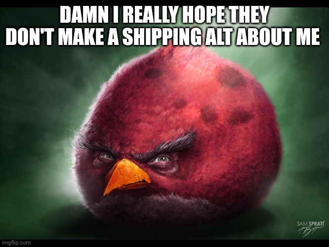 Realistic Angry Bird (big red) | DAMN I REALLY HOPE THEY DON'T MAKE A SHIPPING ALT ABOUT ME | image tagged in realistic angry bird big red | made w/ Imgflip meme maker