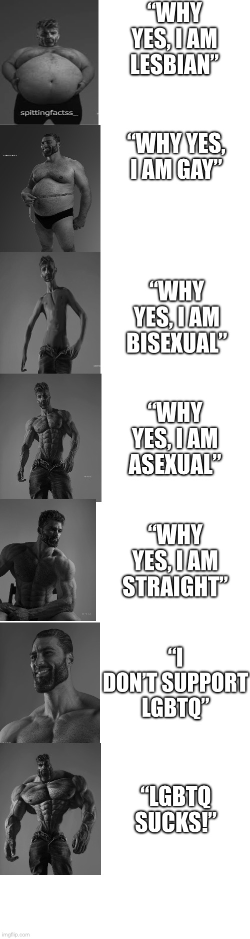 Feminist & Lgbt vs straight people [ Giga Chad ] Memes. #lgbt