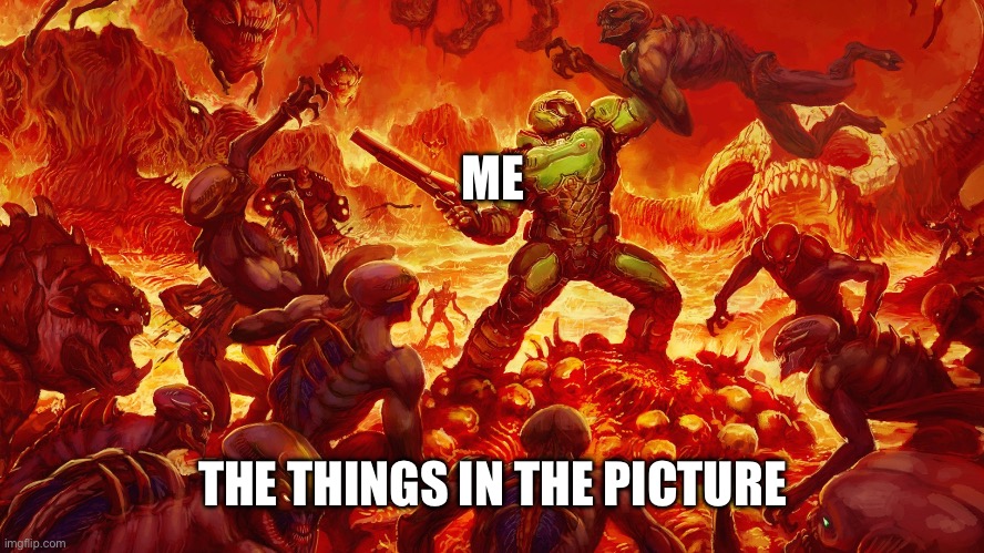 Doomguy | ME THE THINGS IN THE PICTURE | image tagged in doomguy | made w/ Imgflip meme maker