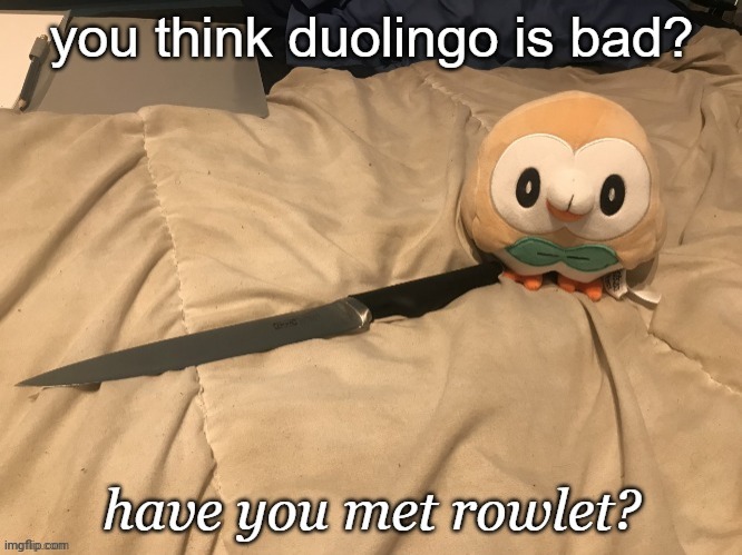 image tagged in rowlet,birb,duolingo | made w/ Imgflip meme maker
