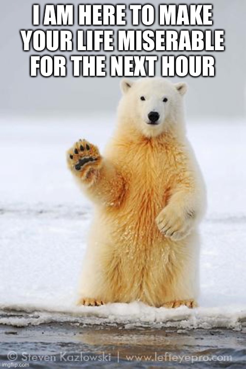 hello polar bear | I AM HERE TO MAKE YOUR LIFE MISERABLE FOR THE NEXT HOUR | image tagged in hello polar bear | made w/ Imgflip meme maker