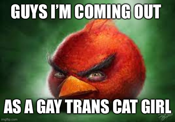 Meow | GUYS I’M COMING OUT; AS A GAY TRANS CAT GIRL | image tagged in realistic red angry birds | made w/ Imgflip meme maker