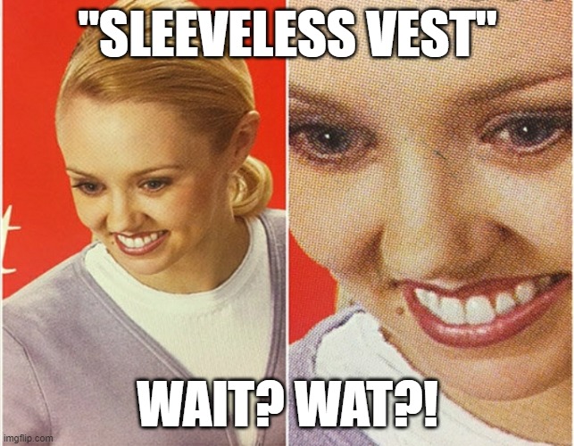 WAIT WHAT? | "SLEEVELESS VEST"; WAIT? WAT?! | image tagged in wait what | made w/ Imgflip meme maker