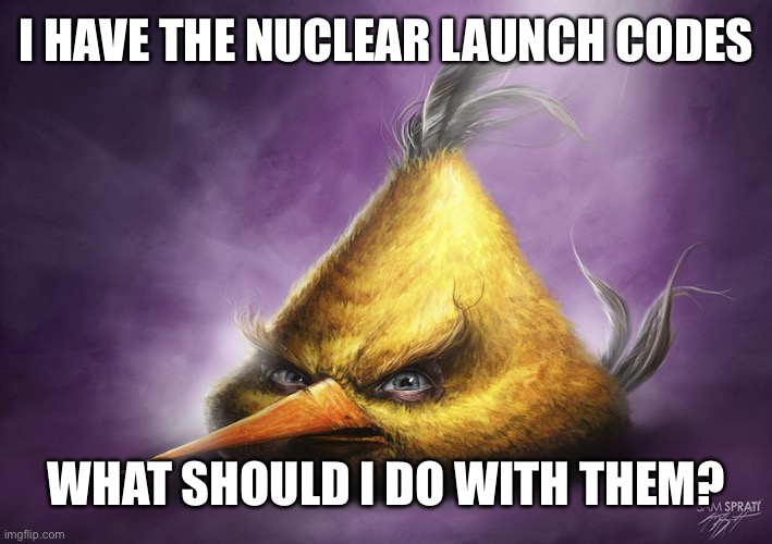 Hyperrealistic Chuck | I HAVE THE NUCLEAR LAUNCH CODES; WHAT SHOULD I DO WITH THEM? | image tagged in hyperrealistic chuck | made w/ Imgflip meme maker