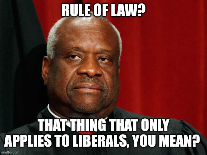 Clarence Thomas | RULE OF LAW? THAT THING THAT ONLY APPLIES TO LIBERALS, YOU MEAN? | image tagged in clarence thomas | made w/ Imgflip meme maker