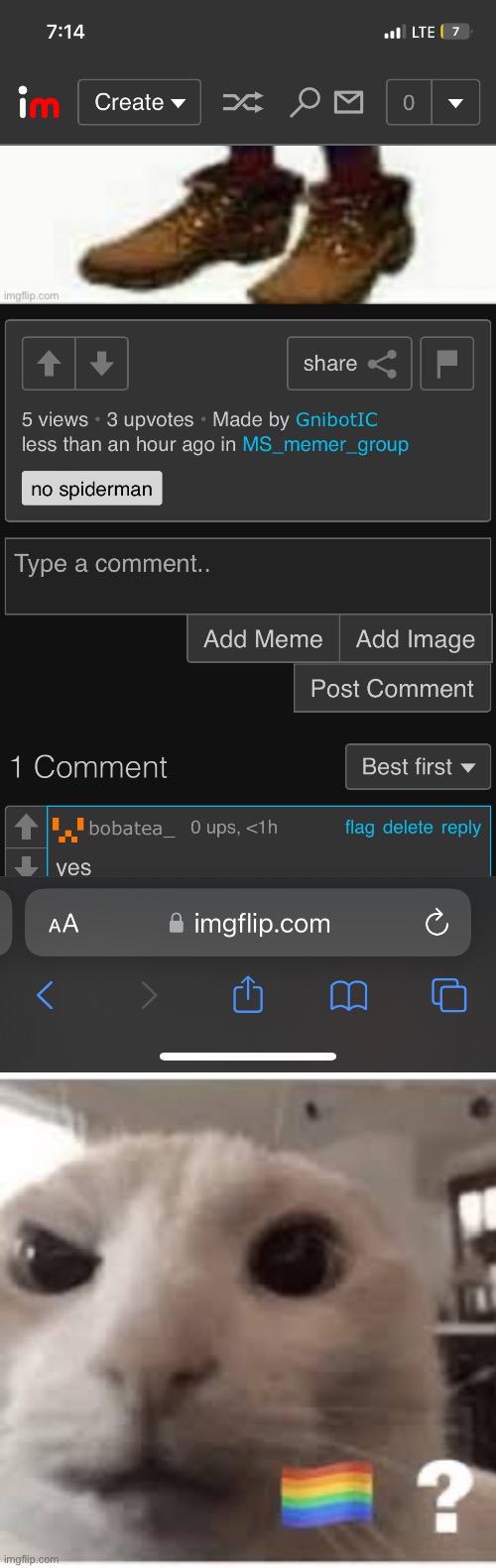 made w/ Imgflip meme maker