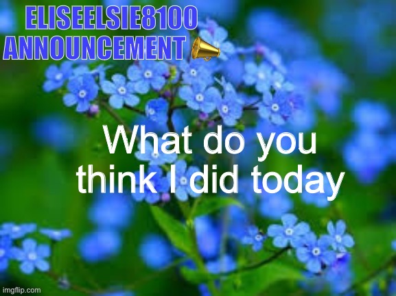 EliseElsie8100 Announcement | What do you think I did today | image tagged in eliseelsie8100 announcement | made w/ Imgflip meme maker