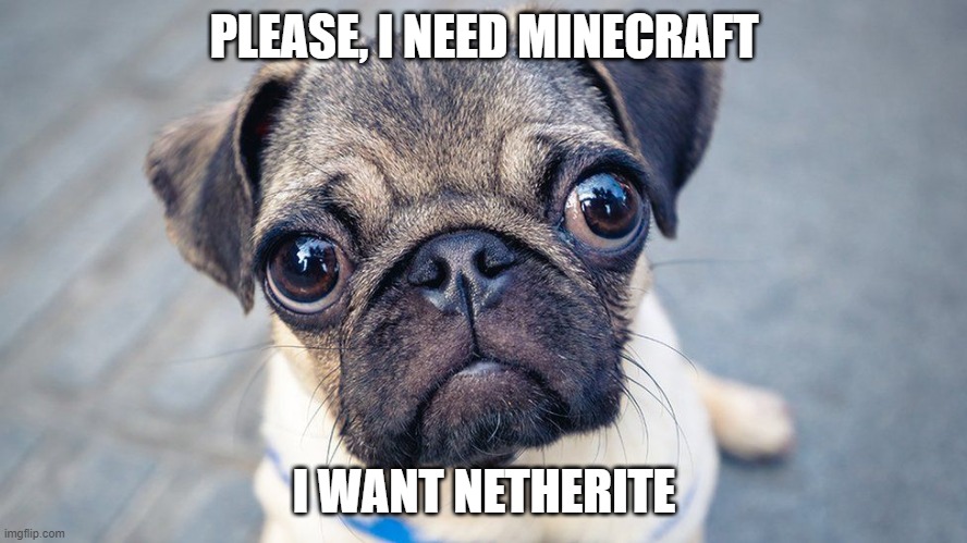 When your mom makes you stop minecraft | PLEASE, I NEED MINECRAFT; I WANT NETHERITE | image tagged in minecraft,minecraft memes,dog | made w/ Imgflip meme maker