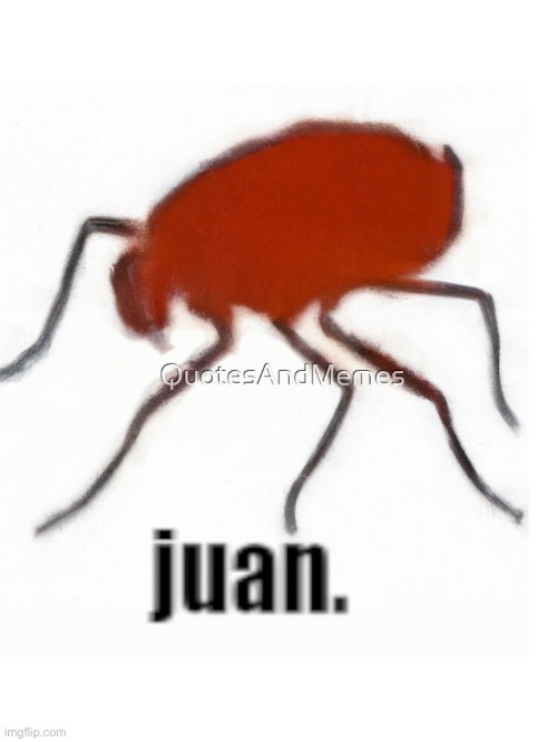 Juan. | made w/ Imgflip meme maker