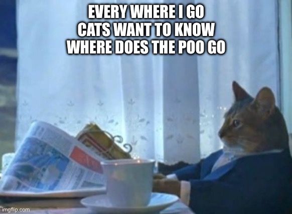 I Should Buy A Boat Cat | EVERY WHERE I GO
CATS WANT TO KNOW
WHERE DOES THE POO GO | image tagged in memes,i should buy a boat cat | made w/ Imgflip meme maker