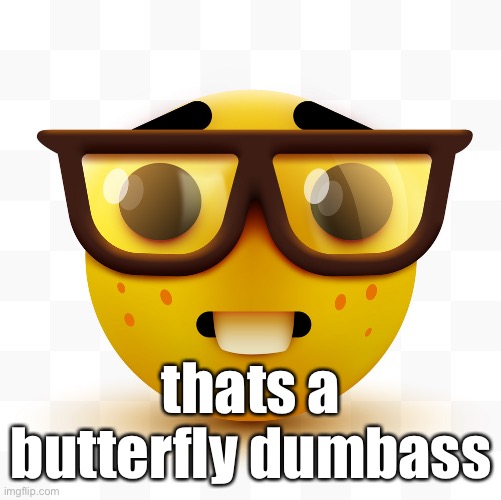 Nerd emoji | thats a butterfly dumbass | image tagged in nerd emoji | made w/ Imgflip meme maker