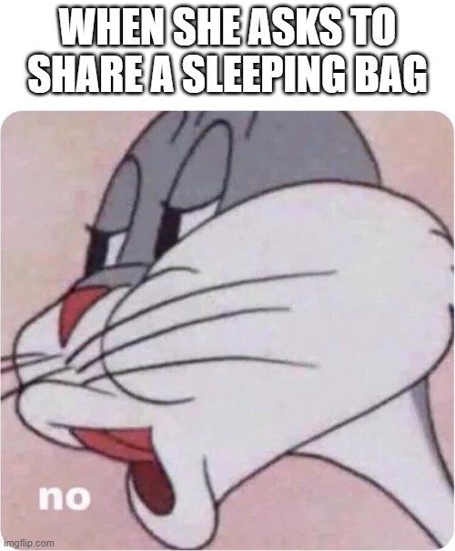 funny and clever title | WHEN SHE ASKS TO SHARE A SLEEPING BAG | image tagged in bugs bunny no | made w/ Imgflip meme maker