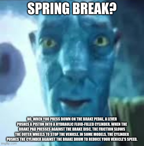 Spring Break? | SPRING BREAK? NO, WHEN YOU PRESS DOWN ON THE BRAKE PEDAL, A LEVER PUSHES A PISTON INTO A HYDRAULIC FLUID-FILLED CYLINDER. WHEN THE BRAKE PAD PRESSES AGAINST THE BRAKE DISC, THE FRICTION SLOWS THE OUTER WHEELS TO STOP THE VEHICLE. IN SOME MODELS, THE CYLINDER PUSHES THE CYLINDER AGAINST THE BRAKE DRUM TO REDUCE YOUR VEHICLE'S SPEED. | image tagged in avatar stare | made w/ Imgflip meme maker