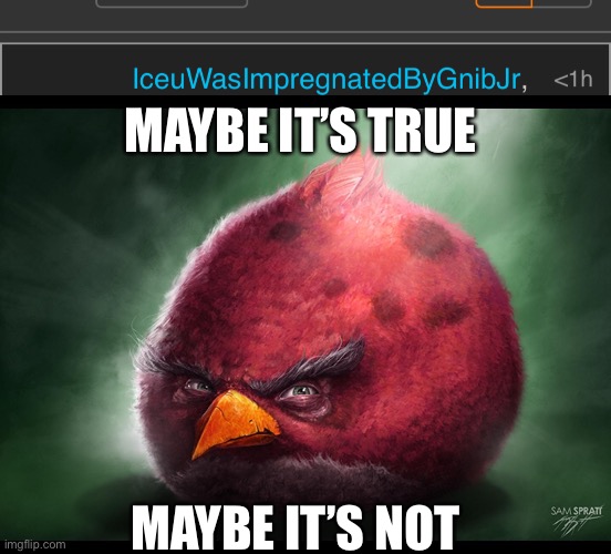 MAYBE IT’S TRUE; MAYBE IT’S NOT | image tagged in realistic angry bird big red | made w/ Imgflip meme maker