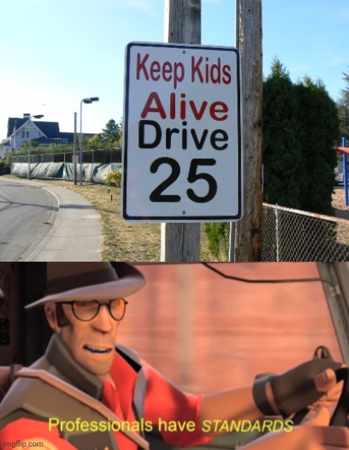 *drives 25* | image tagged in professionals have standards,memes,reposts,repost,kids,drive | made w/ Imgflip meme maker