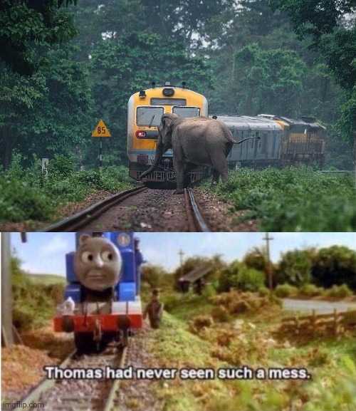 Train and elephant | image tagged in thomas has never seen such a mess,you had one job,train,elephant,memes,trains | made w/ Imgflip meme maker
