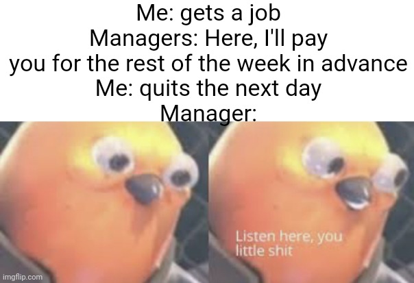 Meme #612 | Me: gets a job
Managers: Here, I'll pay you for the rest of the week in advance
Me: quits the next day
Manager: | image tagged in listen here you little shit bird,money,job,manager,memes,funny | made w/ Imgflip meme maker