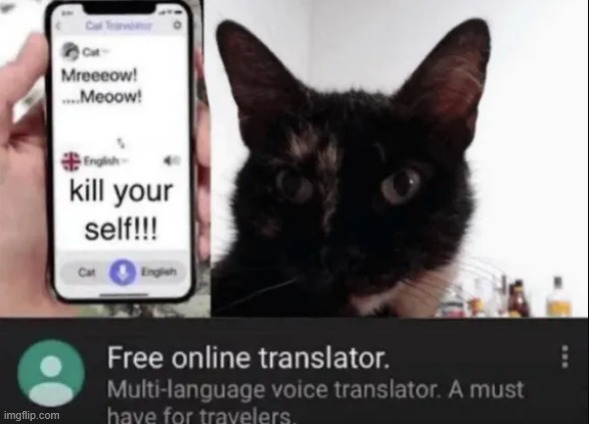 Low Tier Cat. | made w/ Imgflip meme maker